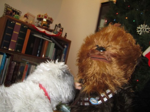 Nala meets Chewbacca 