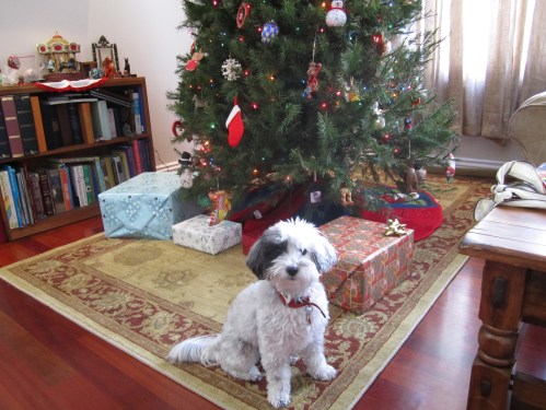 Nala says Merry Christmas