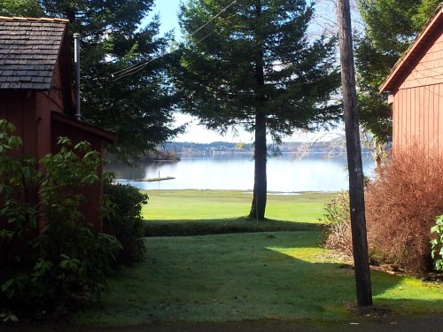 The view from my cabin up in Washington.