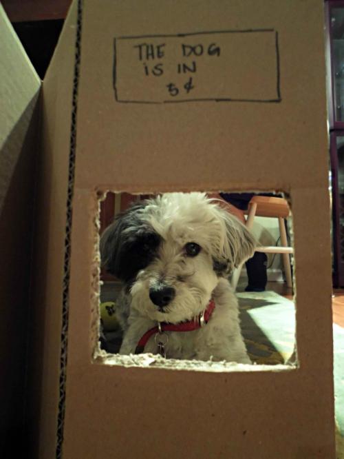 She's also a great listener.