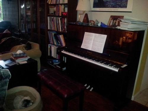 Here is where I spend most of my time.