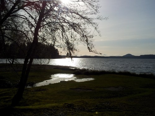 Beautiful Lake Quinault