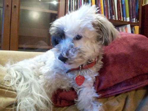 The most important part of home.