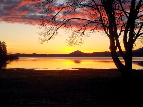 It's hard to look at such beauty and not feel something loosen inside. Photo by Amy Sundberg (me!)