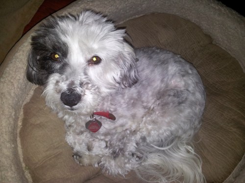 One of the pillars of my self care routine.