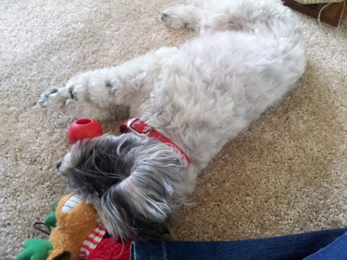 Nala and I, collapsed on the floor.