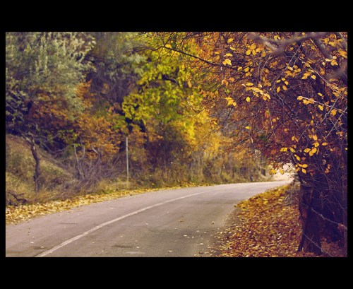 Photo Credit: seyed mostafa zamani via Compfight cc 