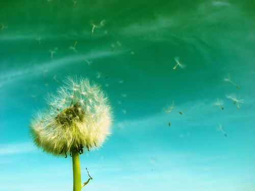 Photo Credit: Thorsten Becker via Compfight cc