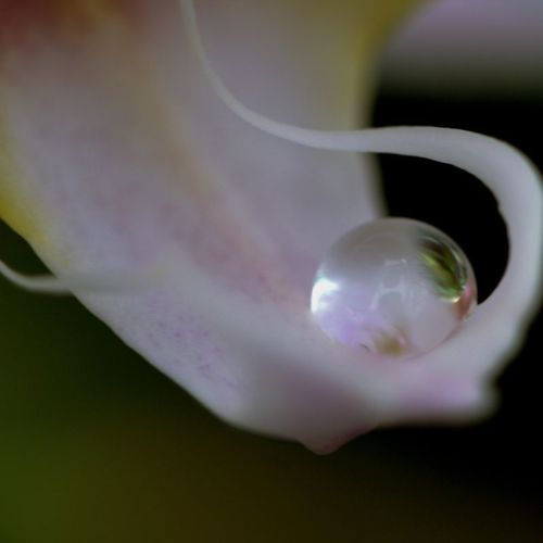 Photo Credit: Eden-Lys via Compfight cc 