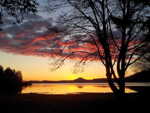 Photo by Amy Sundberg (Hey, that's me!)