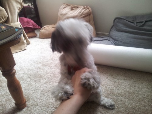 The Nala blur.