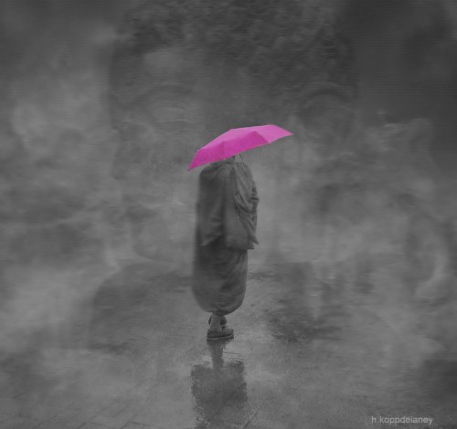 Photo Credit: h.koppdelaney via Compfight cc