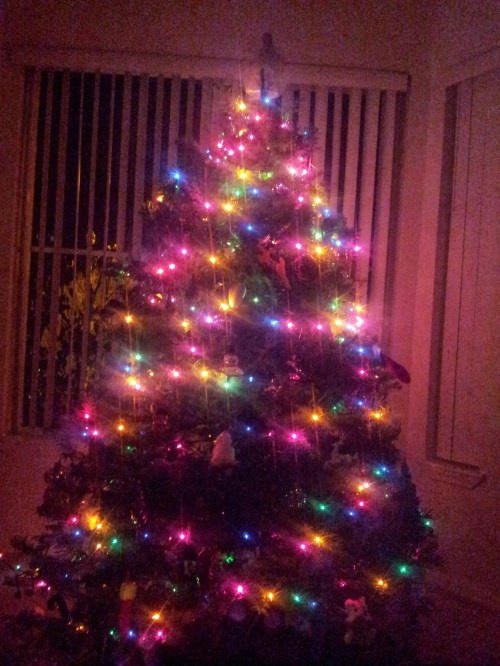 It looks like fairies live here. 