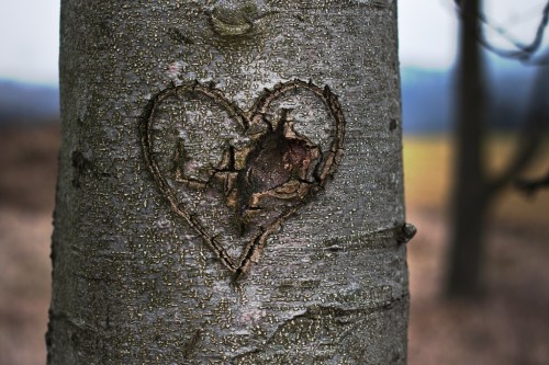 Photo Credit: Herr Olsen via Compfight cc 