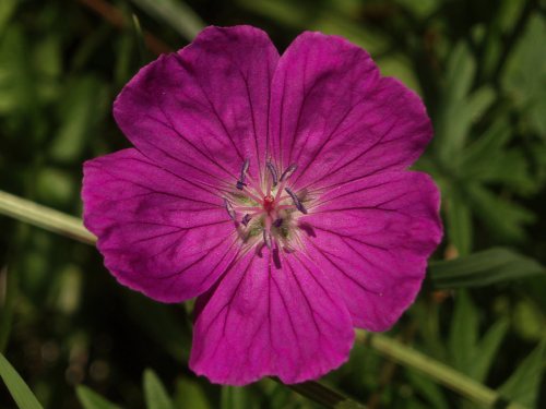 Photo Credit: jacilluch via Compfight cc 