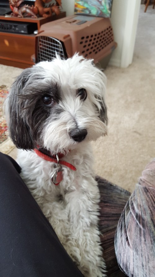 Signing a contract is serious business.