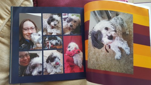 And here, have a Nala spread!