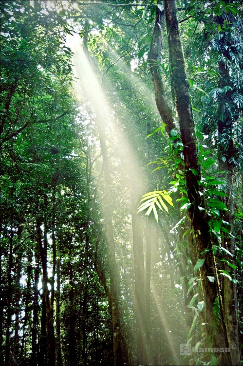 Photo Credit: alfamosa via Compfight cc 