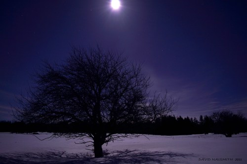 16712971722_ef3b65cea6_b